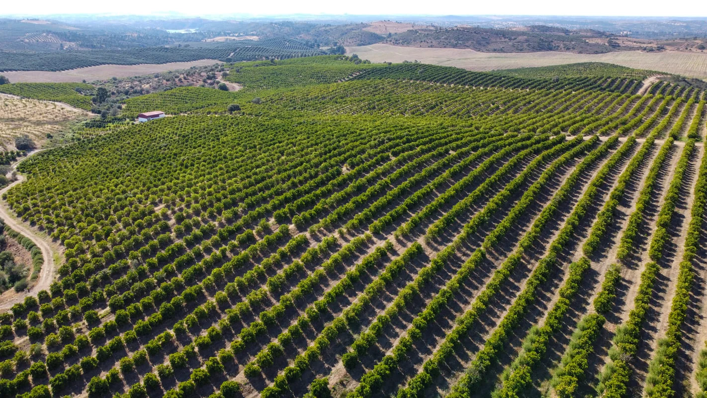 Ilustración ejemplo de trabajo de Eurocrew Stance Weekend